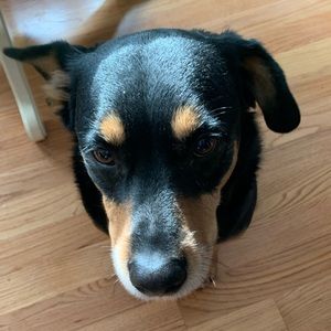 Meet your Posher, Mya